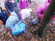 Výprava do lesa, krmení zvířátek